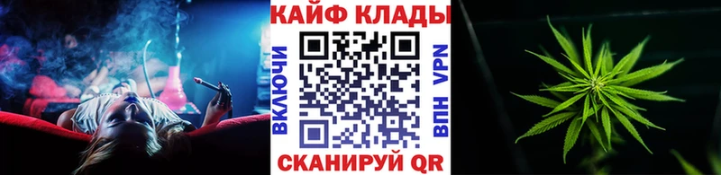 Как найти наркотики Бологое Канабис  Псилоцибиновые грибы  СК  ГАШИШ  Героин  Меф 