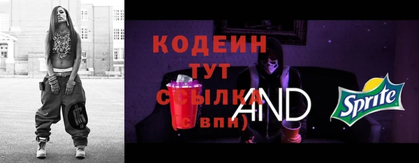 apvp Снежногорск