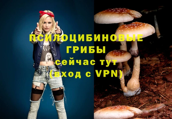 mdpv Снежинск