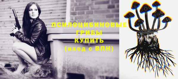 2c-b Алексин