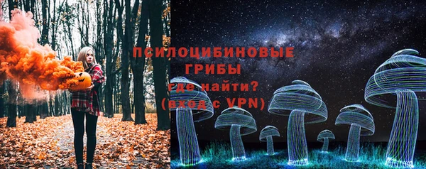 apvp Снежногорск