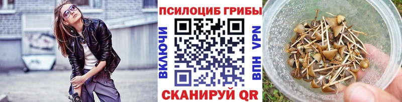 купить наркоту Бологое Галлюциногенные грибы мицелий